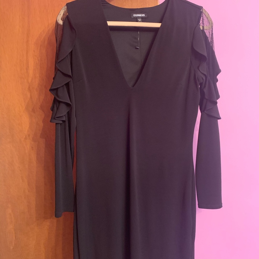 Express Mesh Long Sleeve Dress